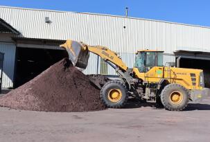 workshop 11 workshop 11